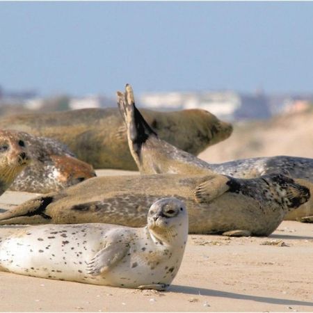 Surf Vue Mer 100M Plage Berck Kültér fotó