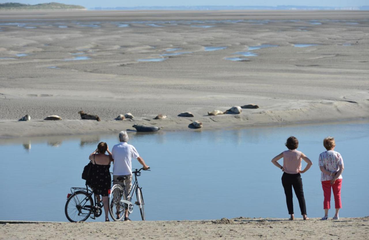 Surf Vue Mer 100M Plage Berck Kültér fotó